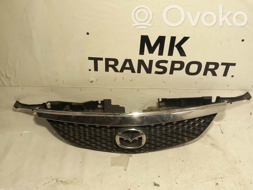Front grill   C10050712
