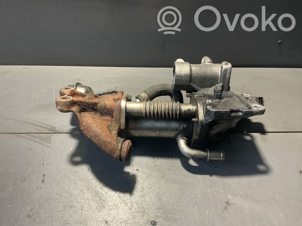 Renault Laguna III Refrigerador de la válvula EGR 