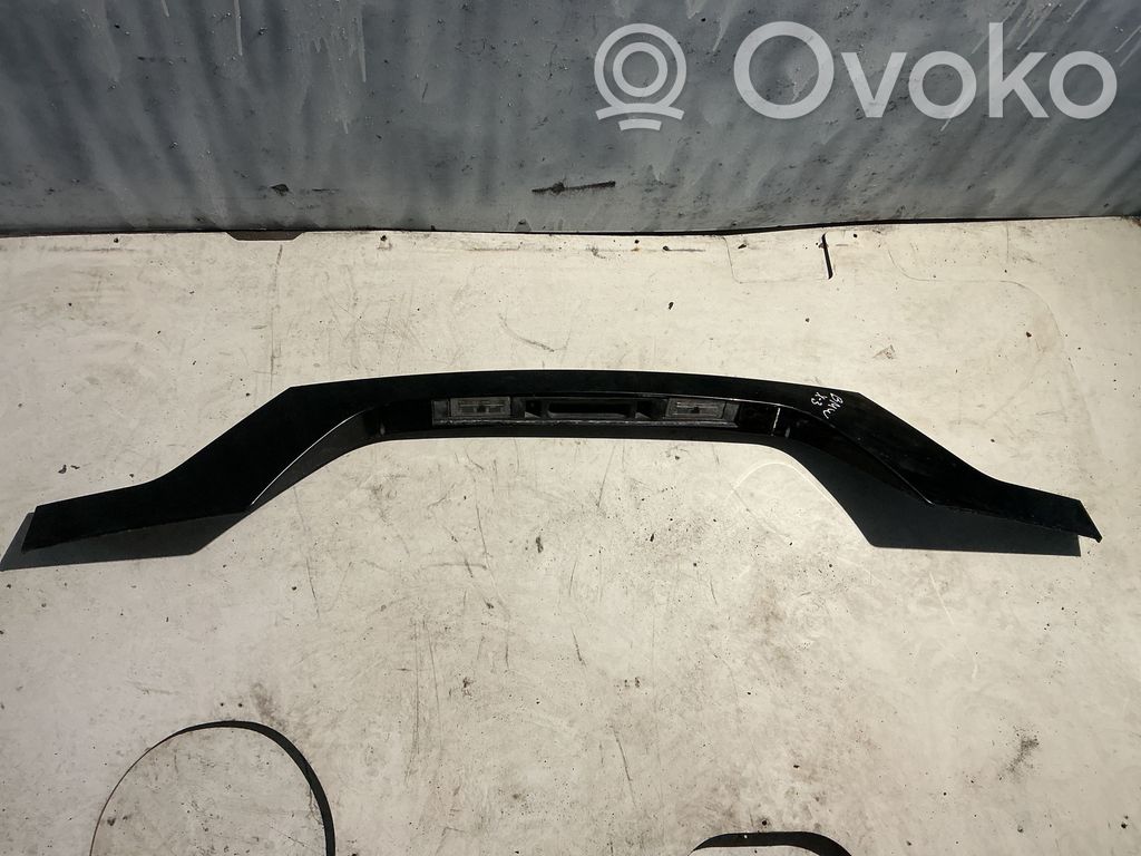 BMW X3 E83 Moldura de la puerta trasera 