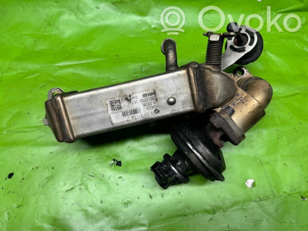 BMW 3 E90 E91 EGR dzesētājs 