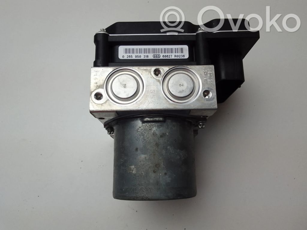 ABS Pump   0265950318
