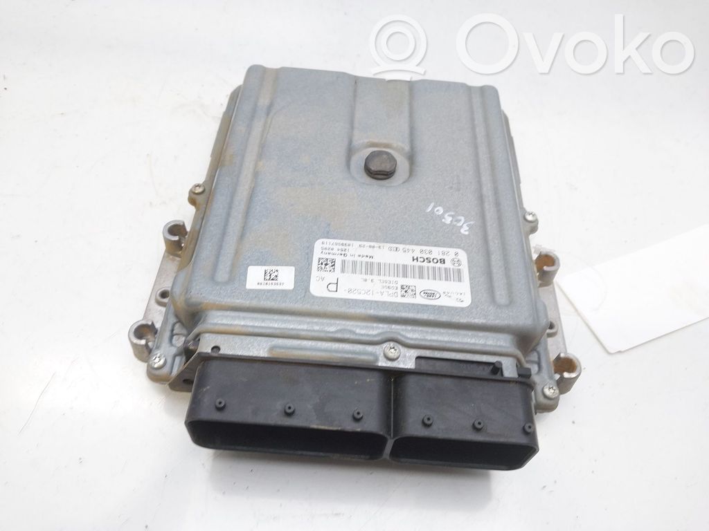 Engine control unit/module   DPLA12C520PAC