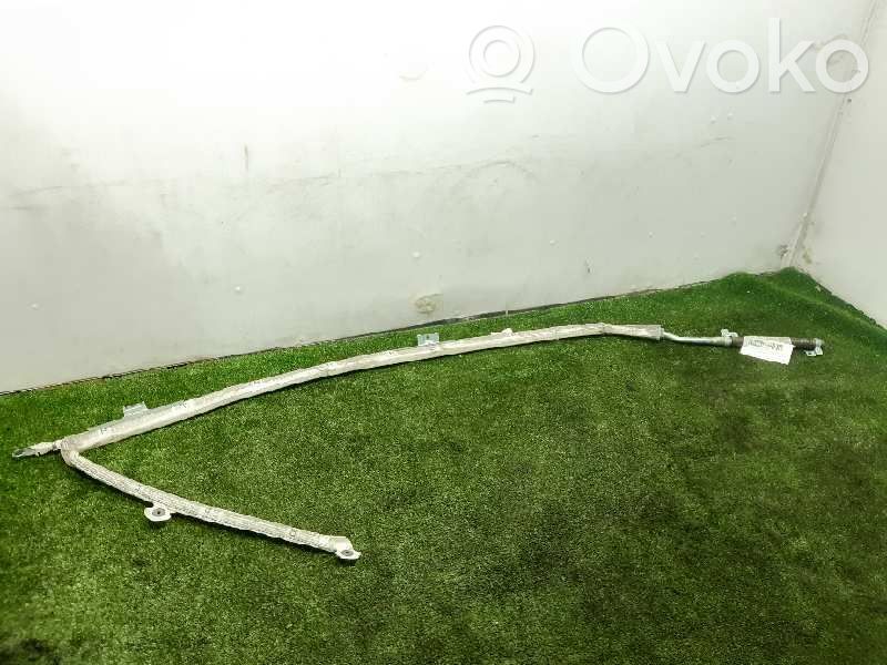 Skoda Octavia Mk2 (1Z) Airbag de toit