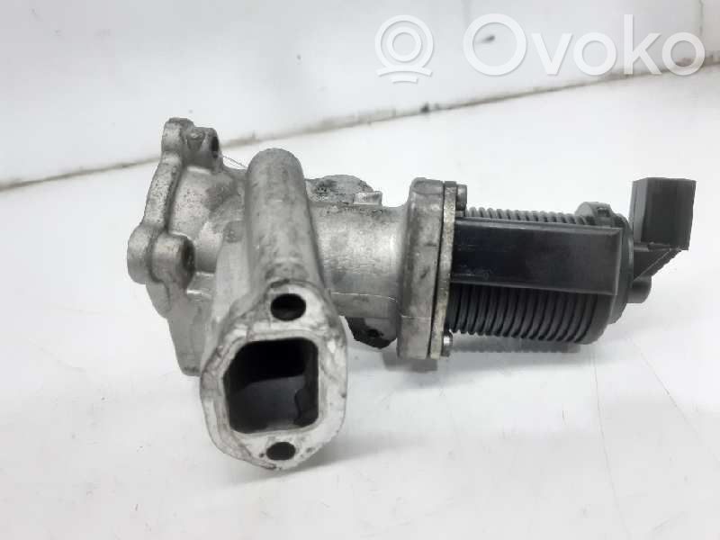 Válvula EGR   53446103