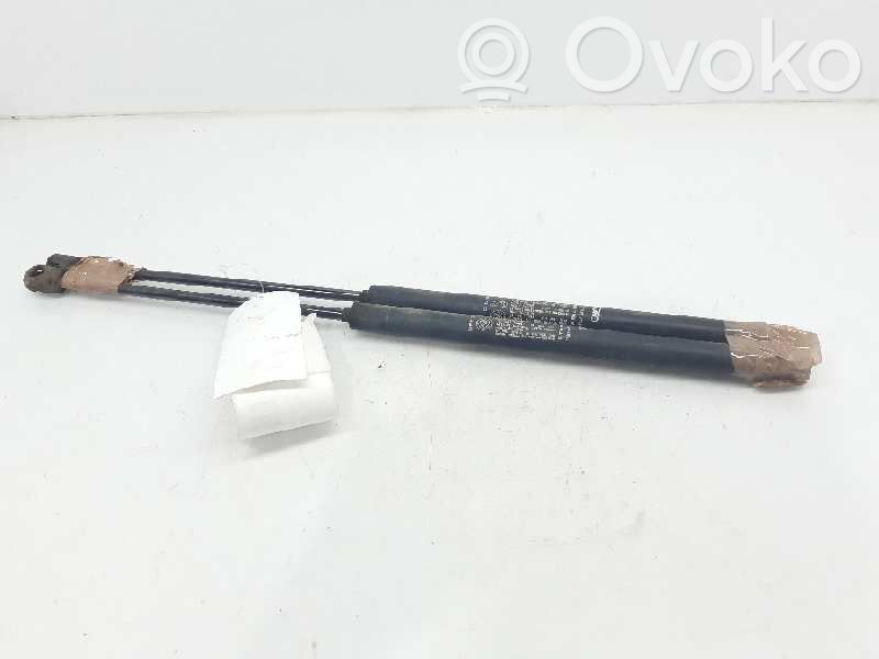 Fiat Bravo Tailgate/trunk strut/damper 