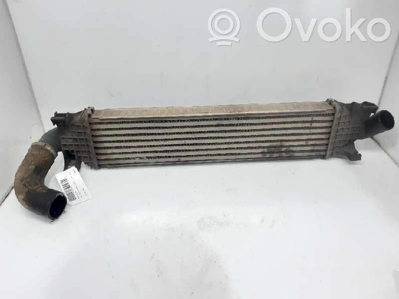 Radiador intercooler   8V619L440AC
