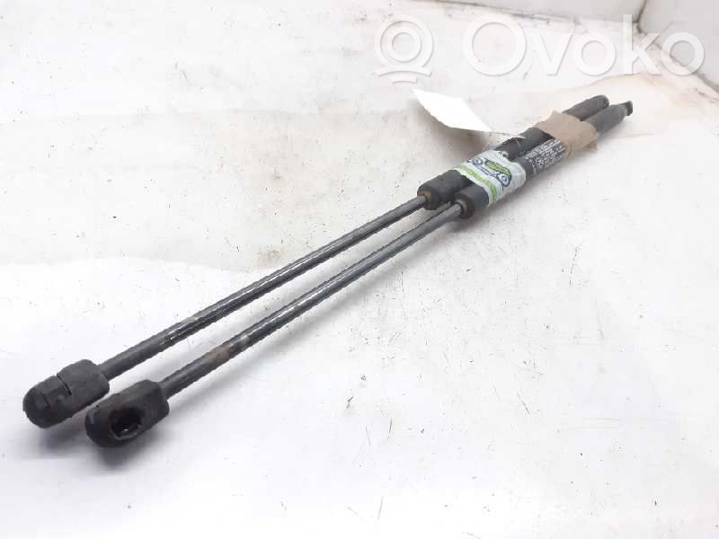 Fiat Bravo Tailgate/trunk strut/damper 