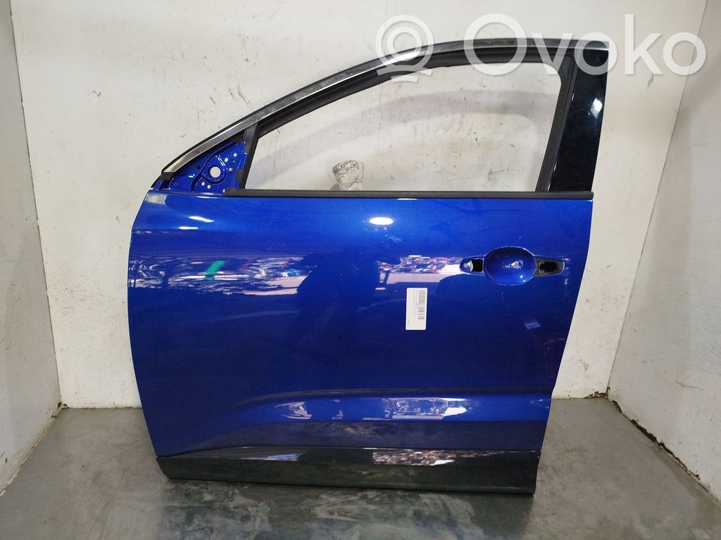 Puerta delantera   801018968R