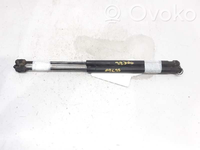 Amortizor hayon   8731G3