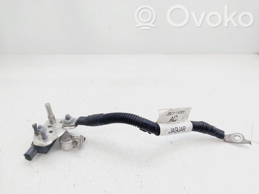 Saugiklių blokas   J9C314301AC