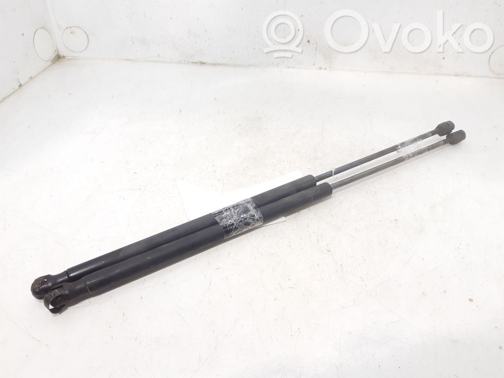 Ford Focus C-MAX Tailgate/trunk strut/damper 