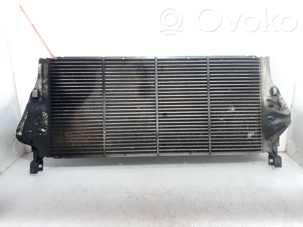 Interkūlerio radiatorius   8200008761C