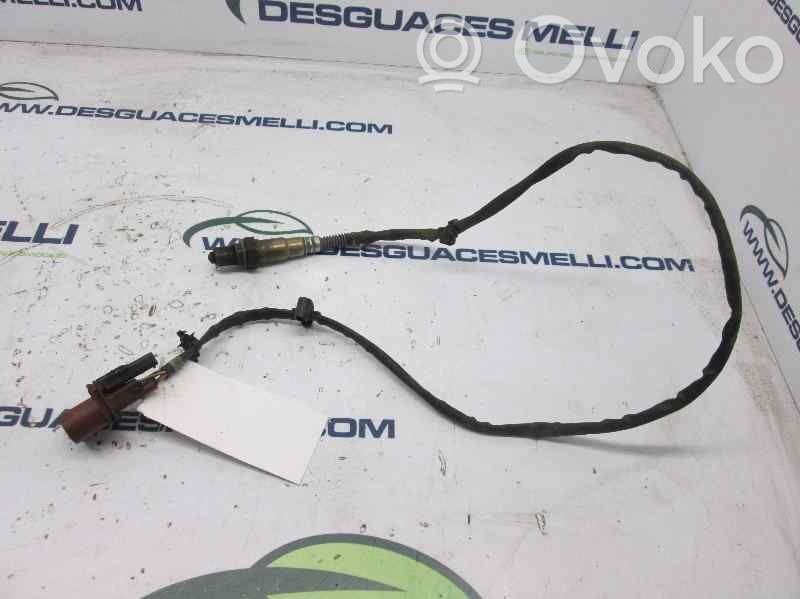 Sonde lambda   0281004005