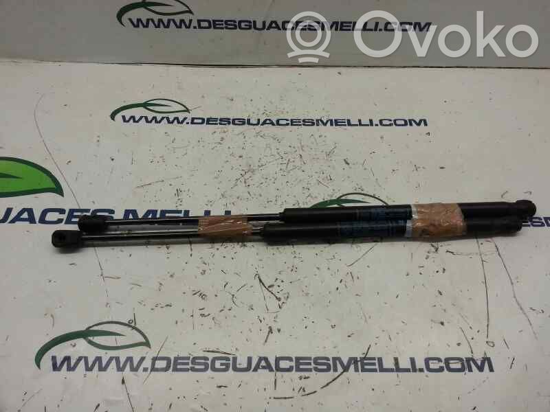 Lancia Ypsilon Tailgate/trunk strut/damper 