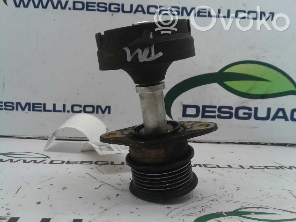 Ford Focus Polea del alternador 