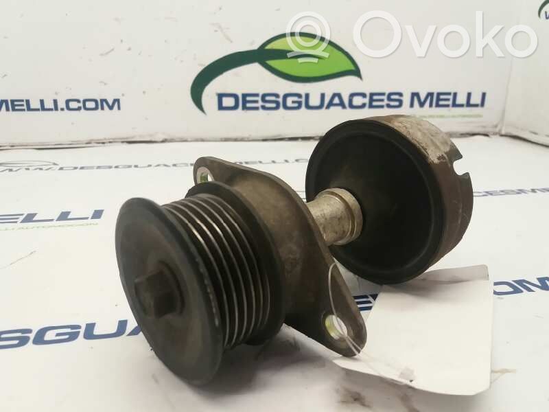 Ford Focus Polea del alternador 