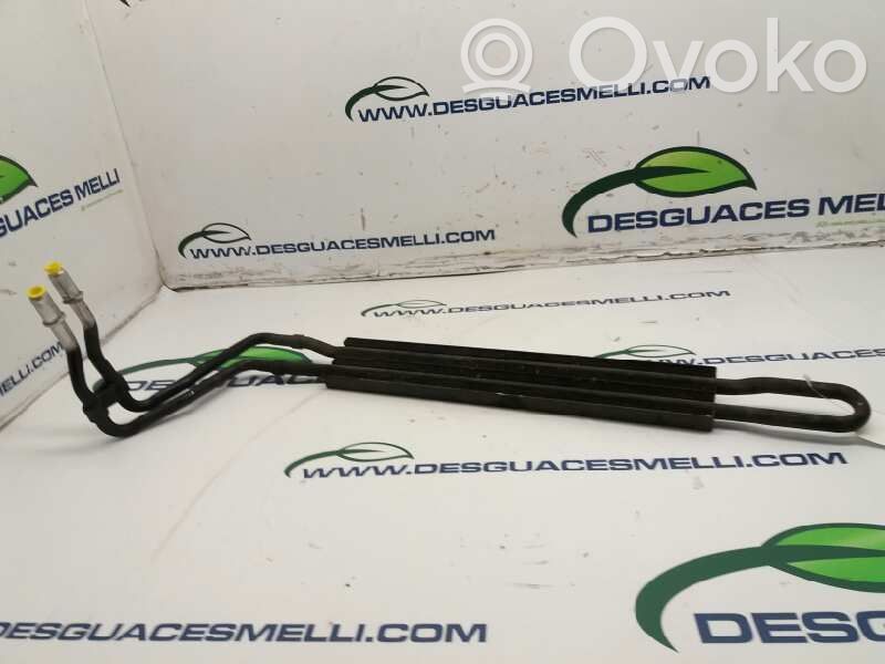 Radiatore del servosterzo   17113413195