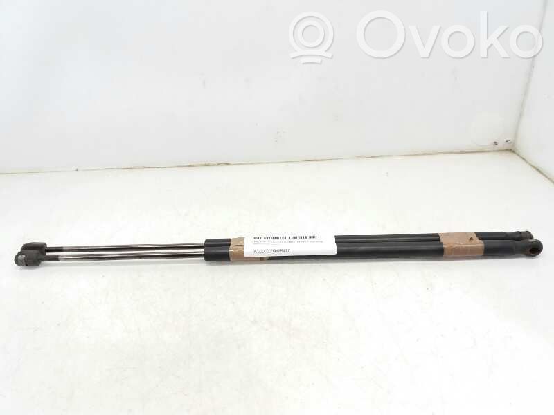 Ford Fiesta Tailgate/trunk strut/damper 