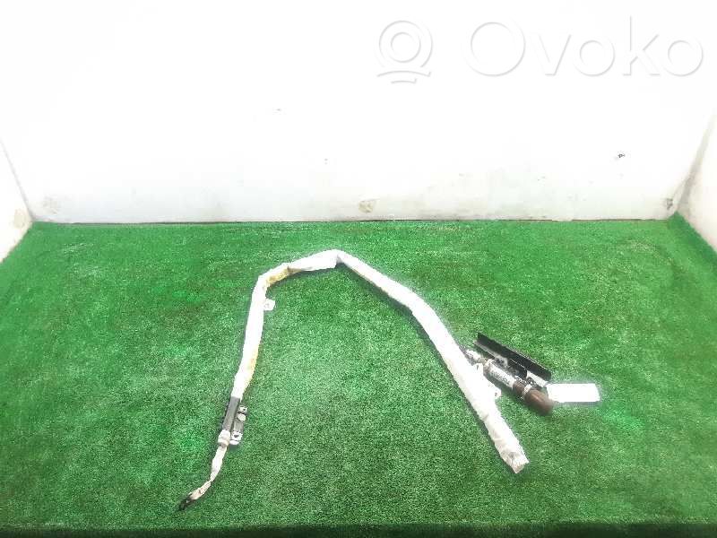 Airbag del techo   850102S500