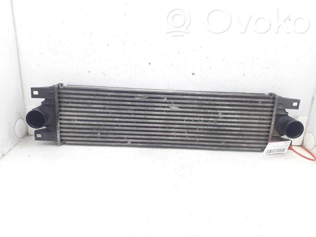 Interkūlerio radiatorius   867658F