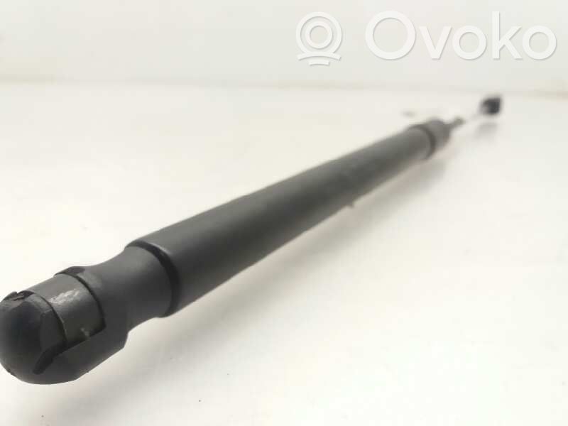 Renault Megane III Tailgate/trunk strut/damper 