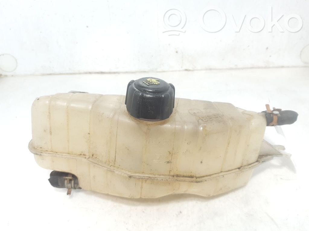 Renault Megane I Vas expansiune/rezervor lichid de răcire