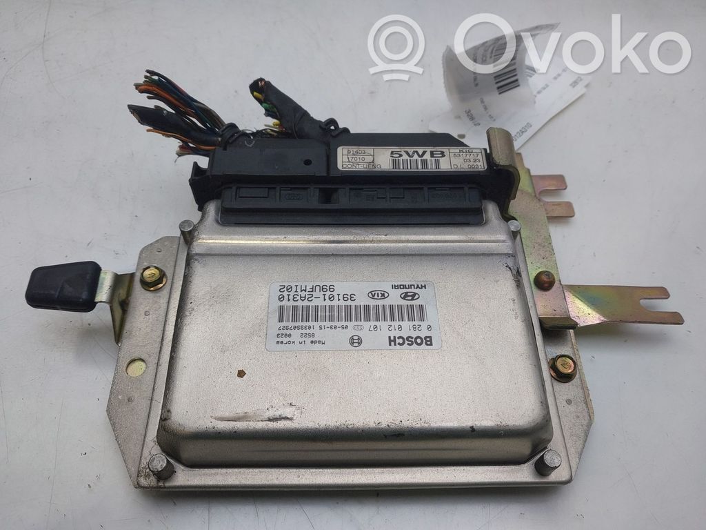 Hyundai Matrix Engine control unit/module 