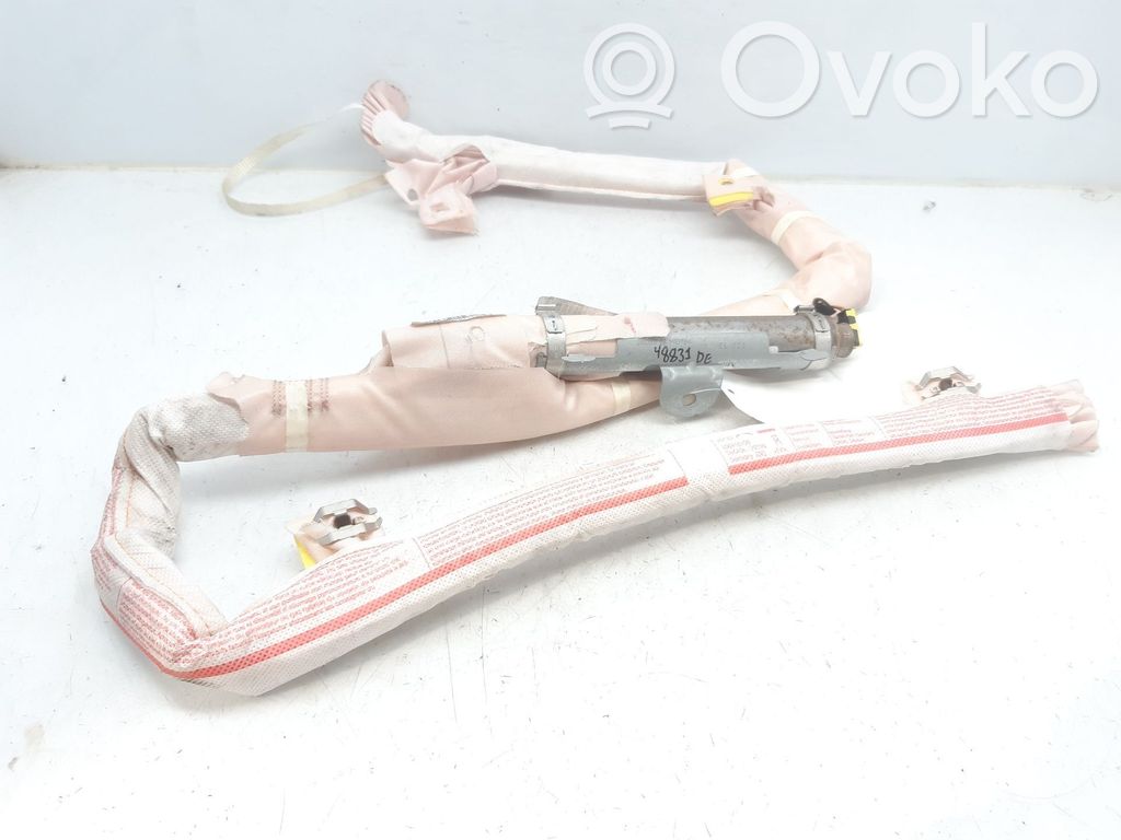 Airbag del techo   9801890680