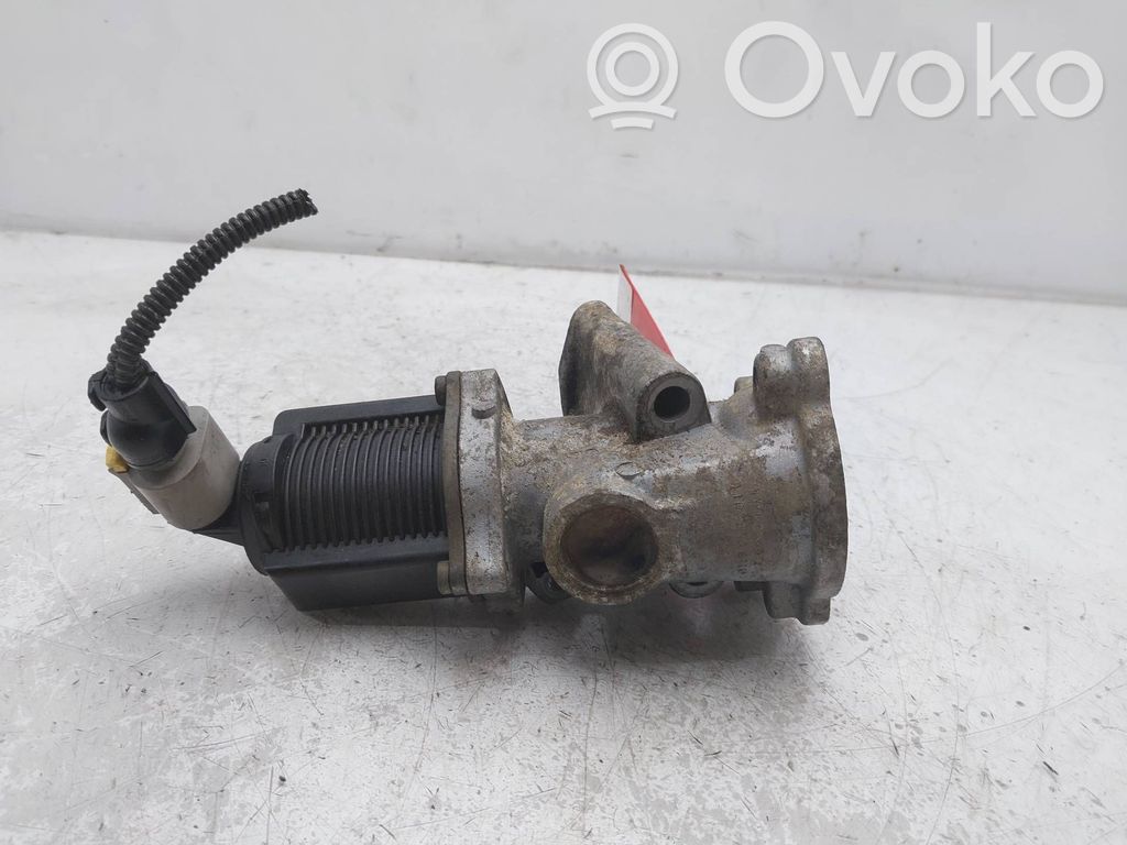 Válvula EGR   50024007