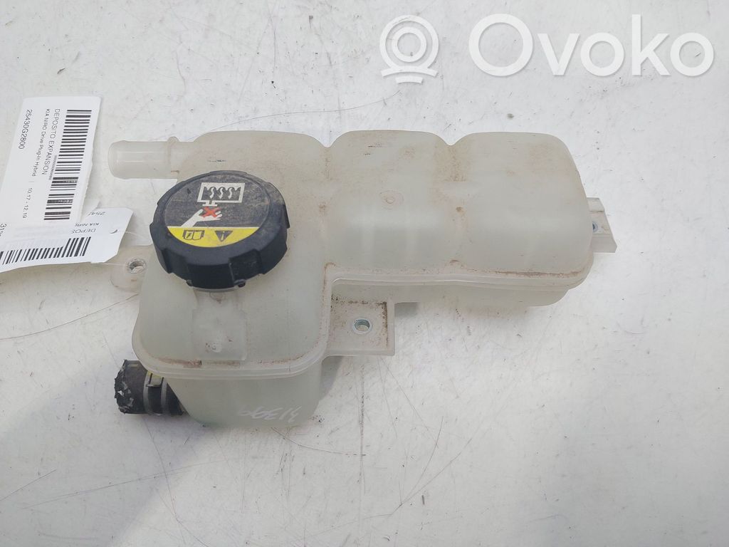 KIA Niro Serbatoio di compensazione del liquido refrigerante/vaschetta