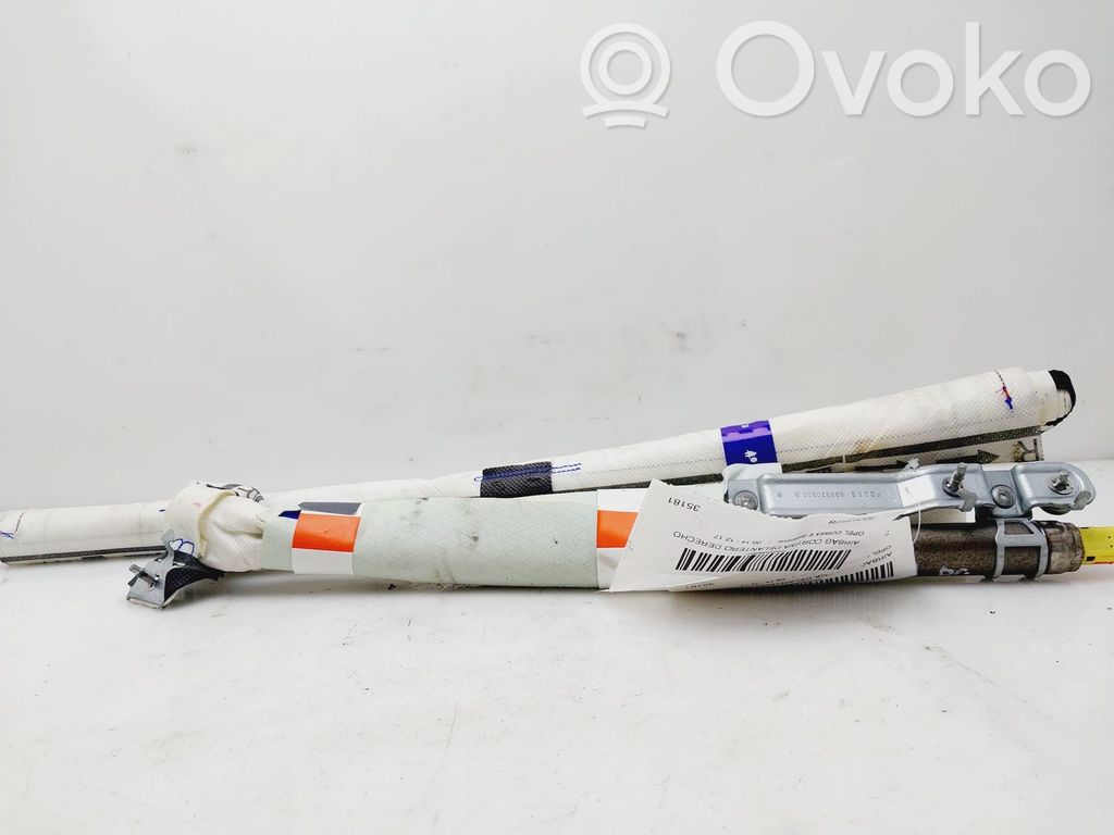 Airbag de toit   39045978