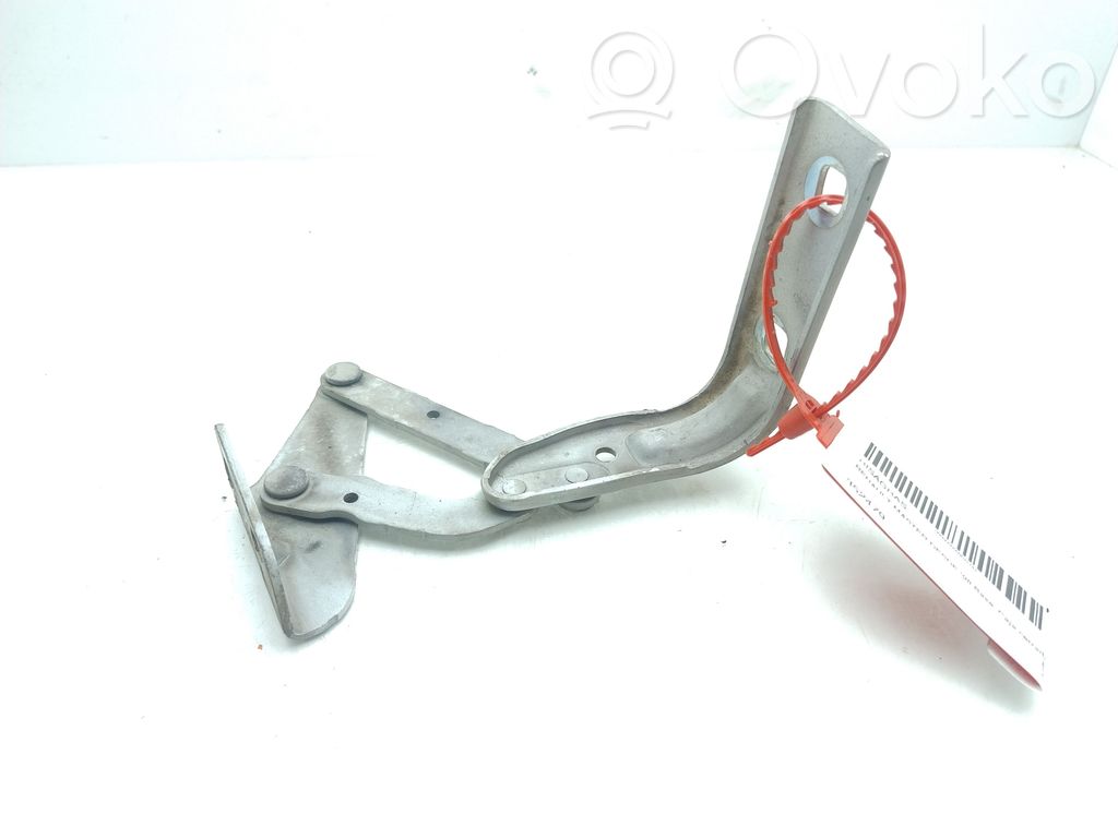 Konepellin saranat   352479
