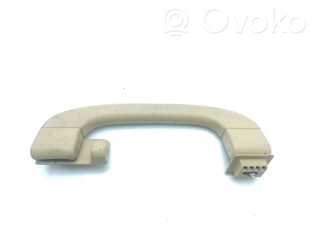Asidero interior delantero   7033662