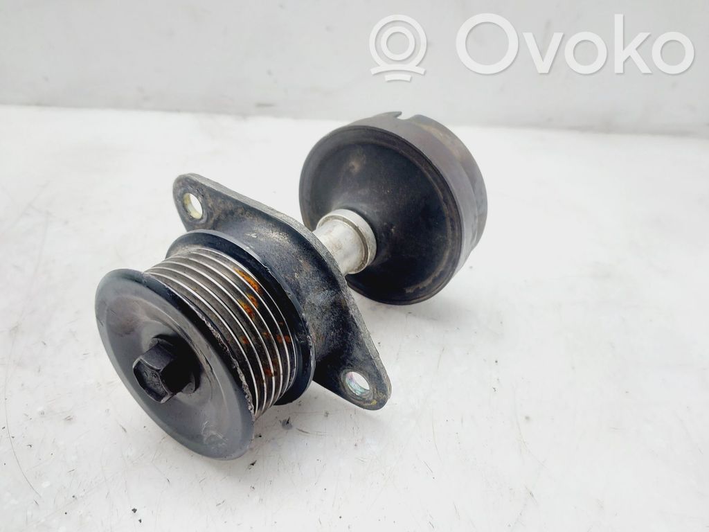 Ford Focus Polea del alternador 