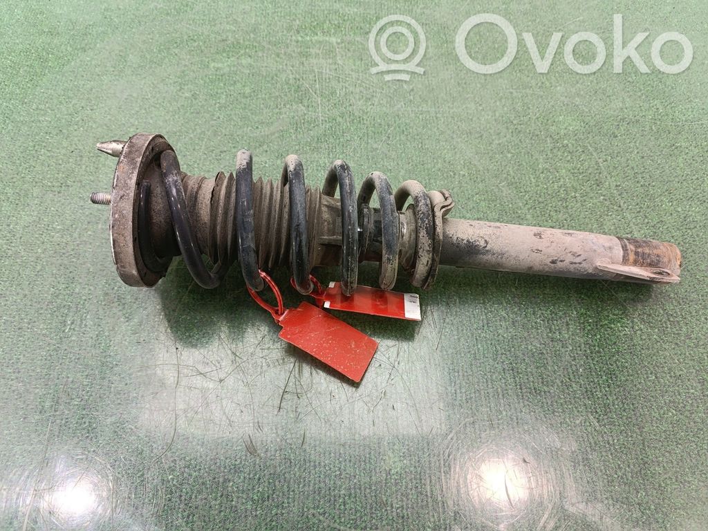 Stoßdämpfer vorne   50515149