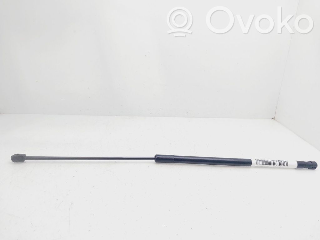 Opel Insignia A Ammortizzatore portellone anteriore/cofano 