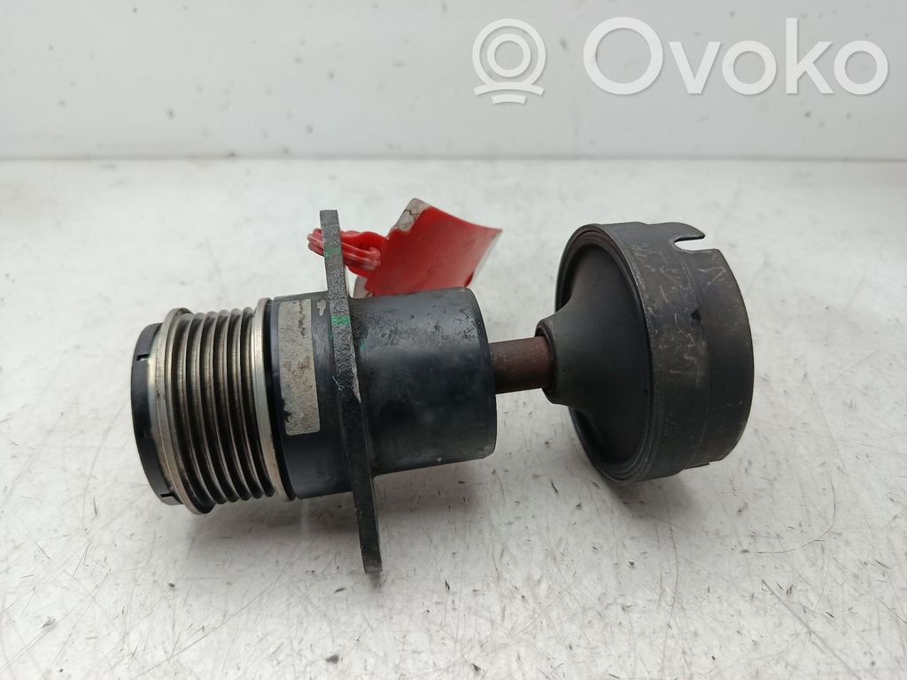 Ford S-MAX Alternator pulley 