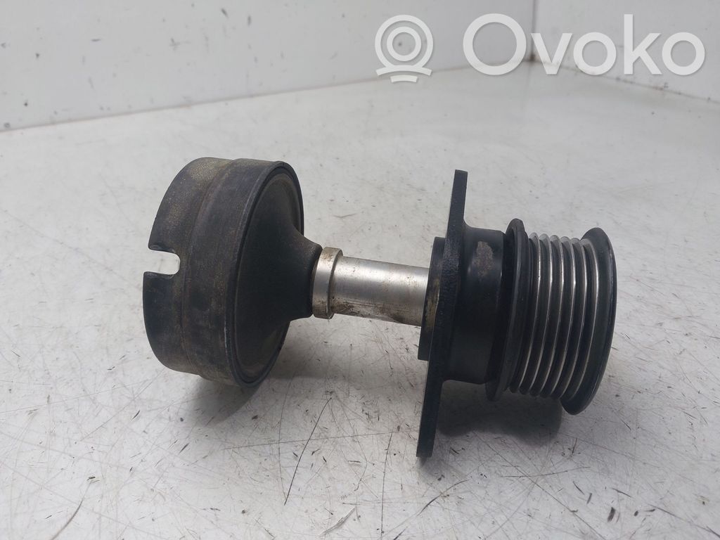 Ford Focus Polea del alternador 
