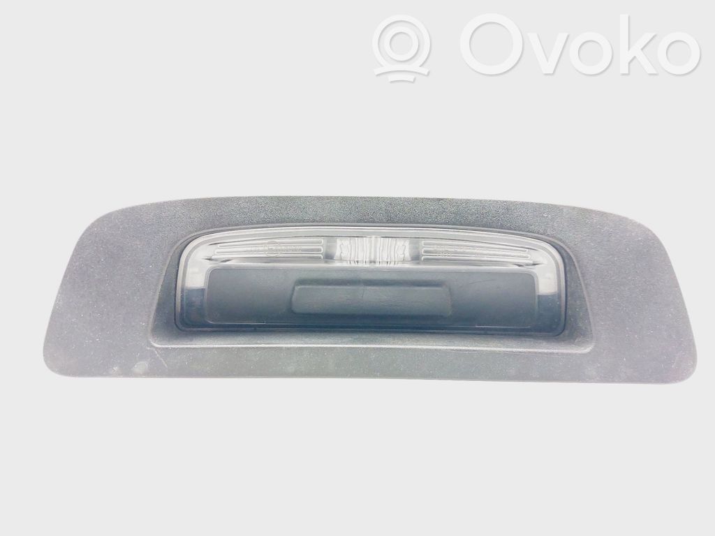 Manilla exterior del maletero/compartimento de carga   060769005