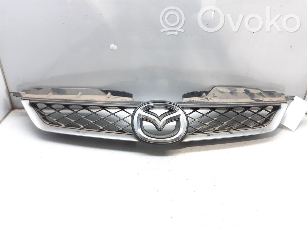 Front grill   C23550710C