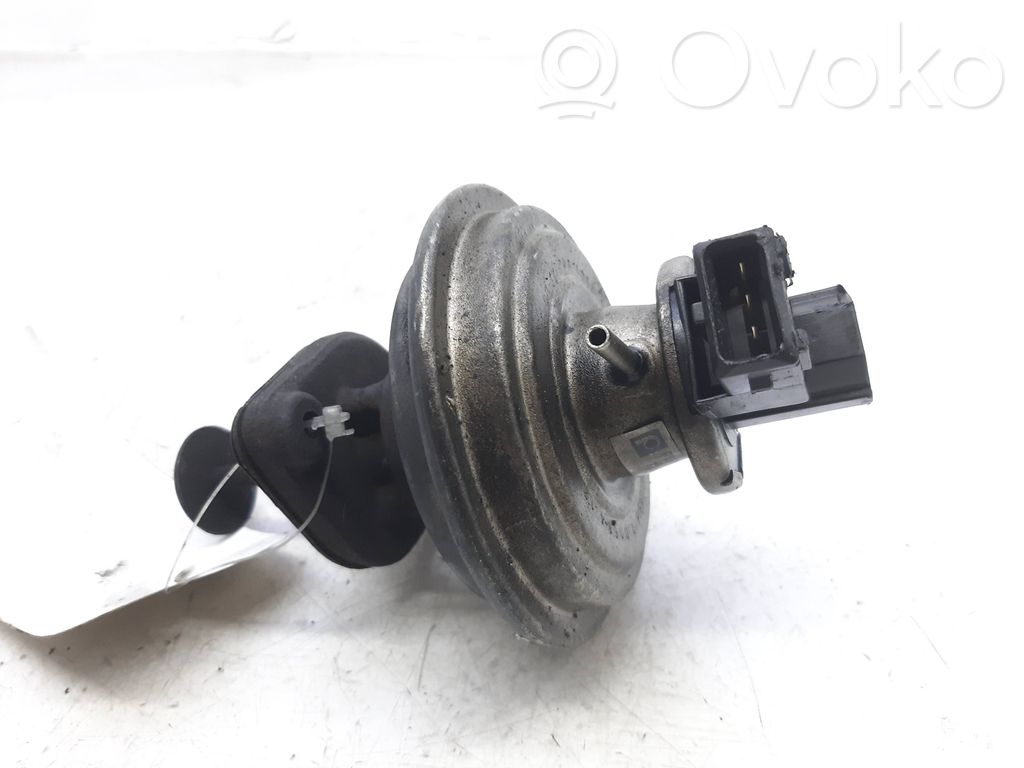 Válvula EGR   700684140
