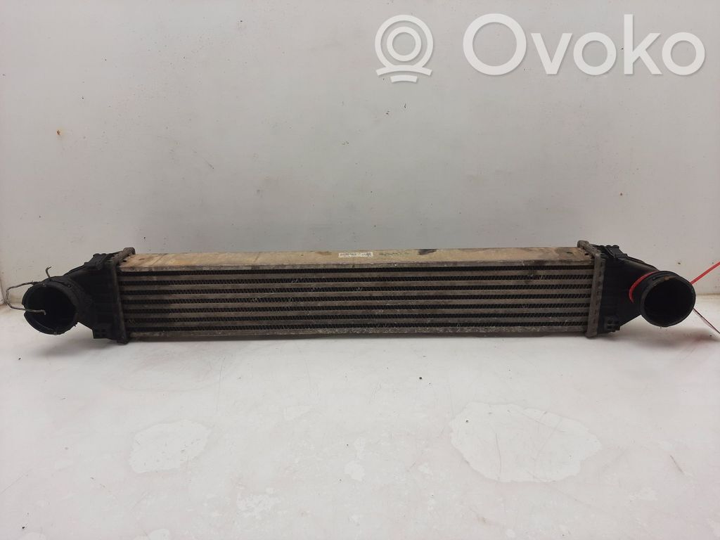 Radiator intercooler   A1695000000
