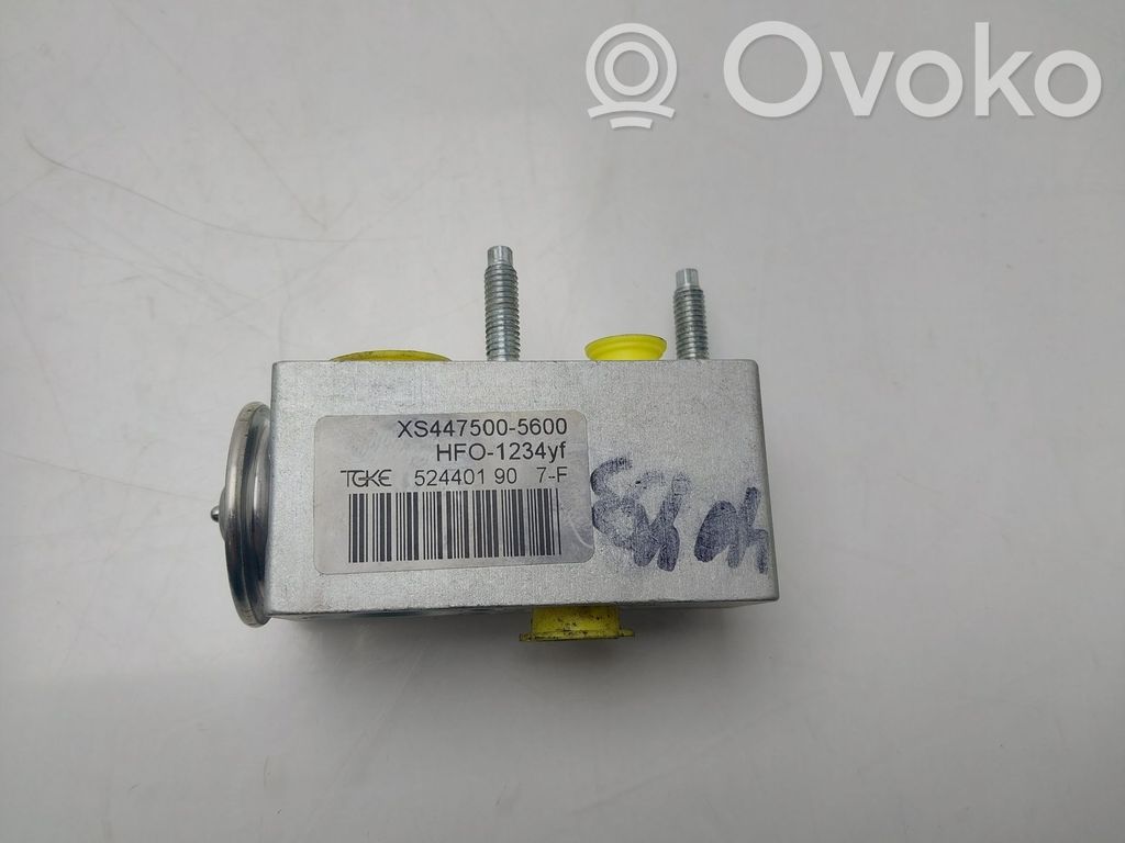 Zawór rozprężny klimatyzacji A/C   XS4475005600