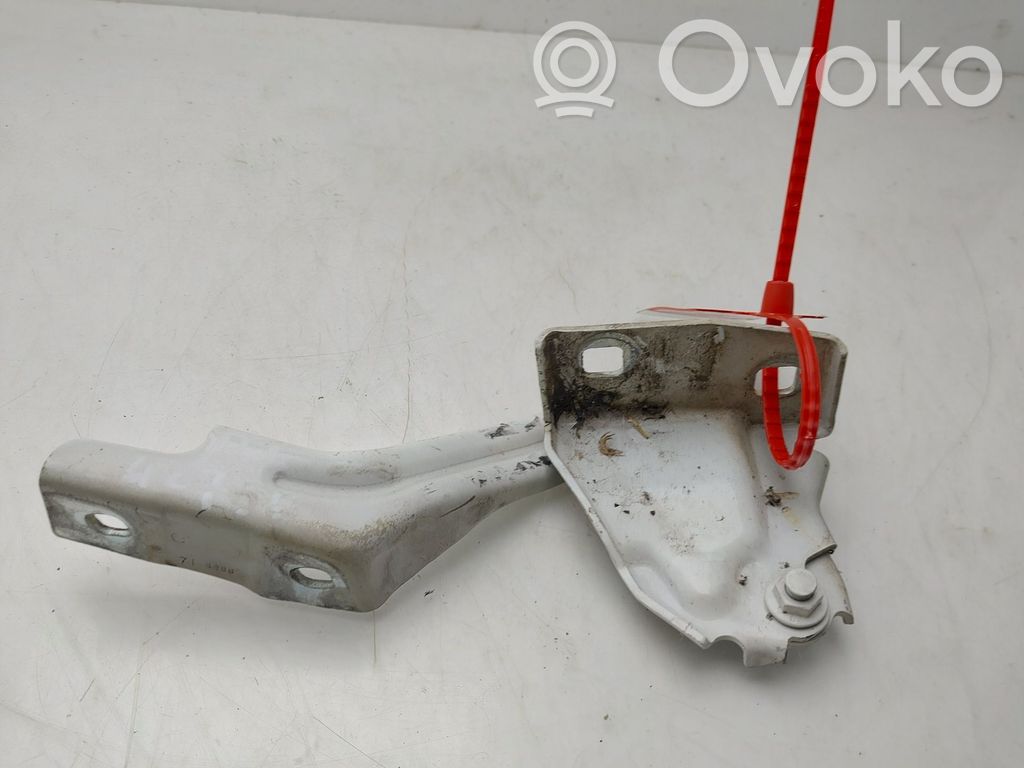 Citroen Jumper Balamale capotă 