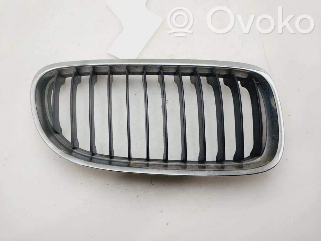Kühlergrill   51137201968