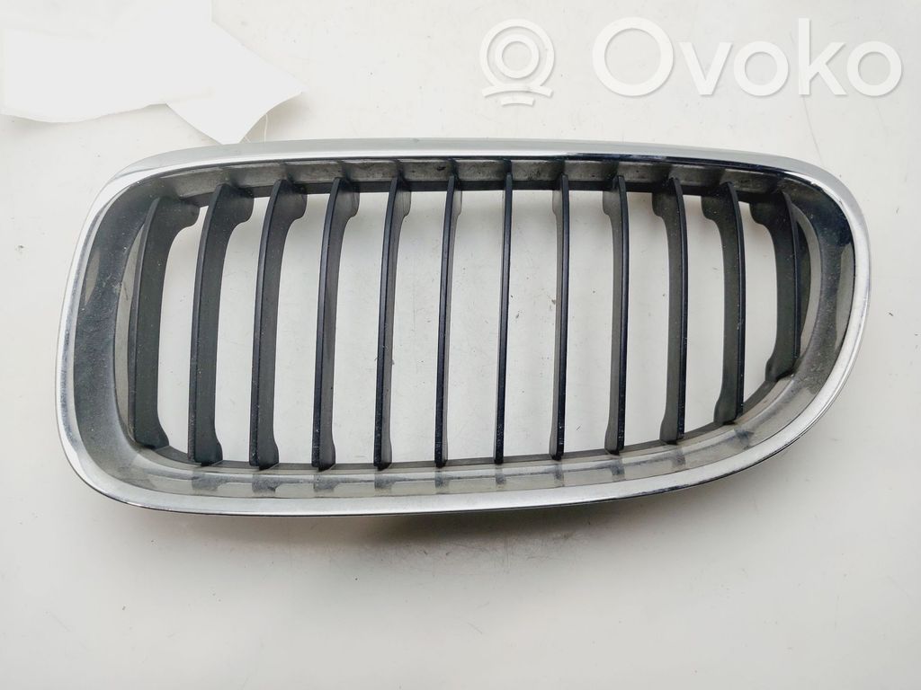 Kühlergrill   51137201967