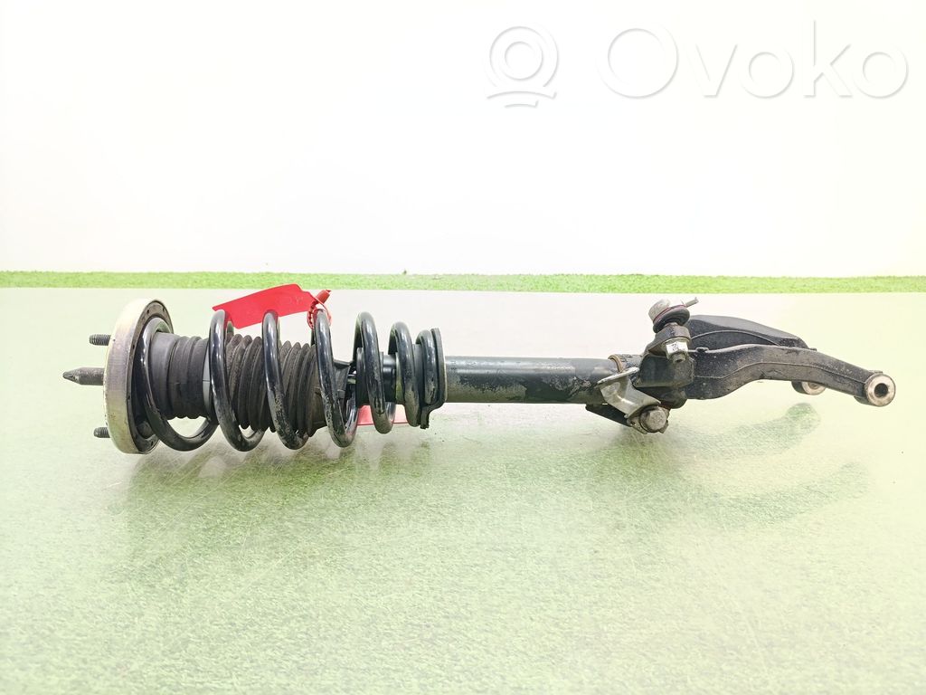 Ammortizzatore anteriore   50515149