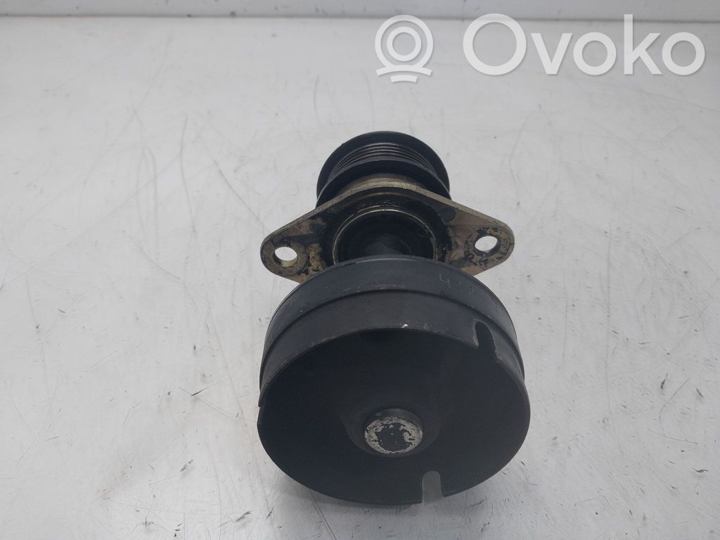 Ford Focus Polea del alternador 