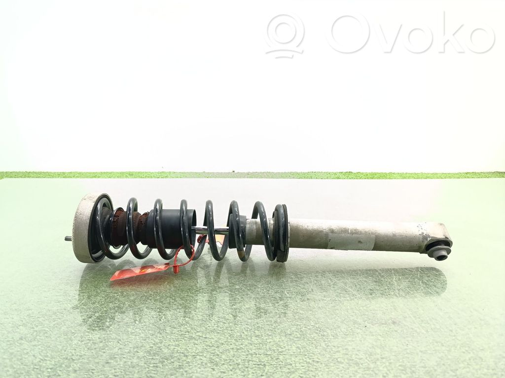 Stoßdämpfer hinten   33526775059