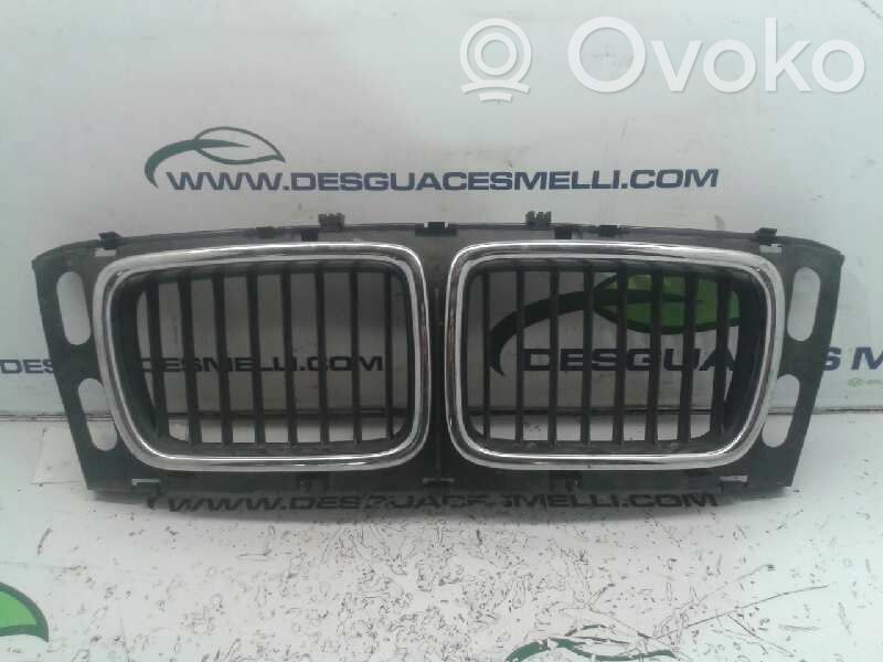 Front grill   51138148727